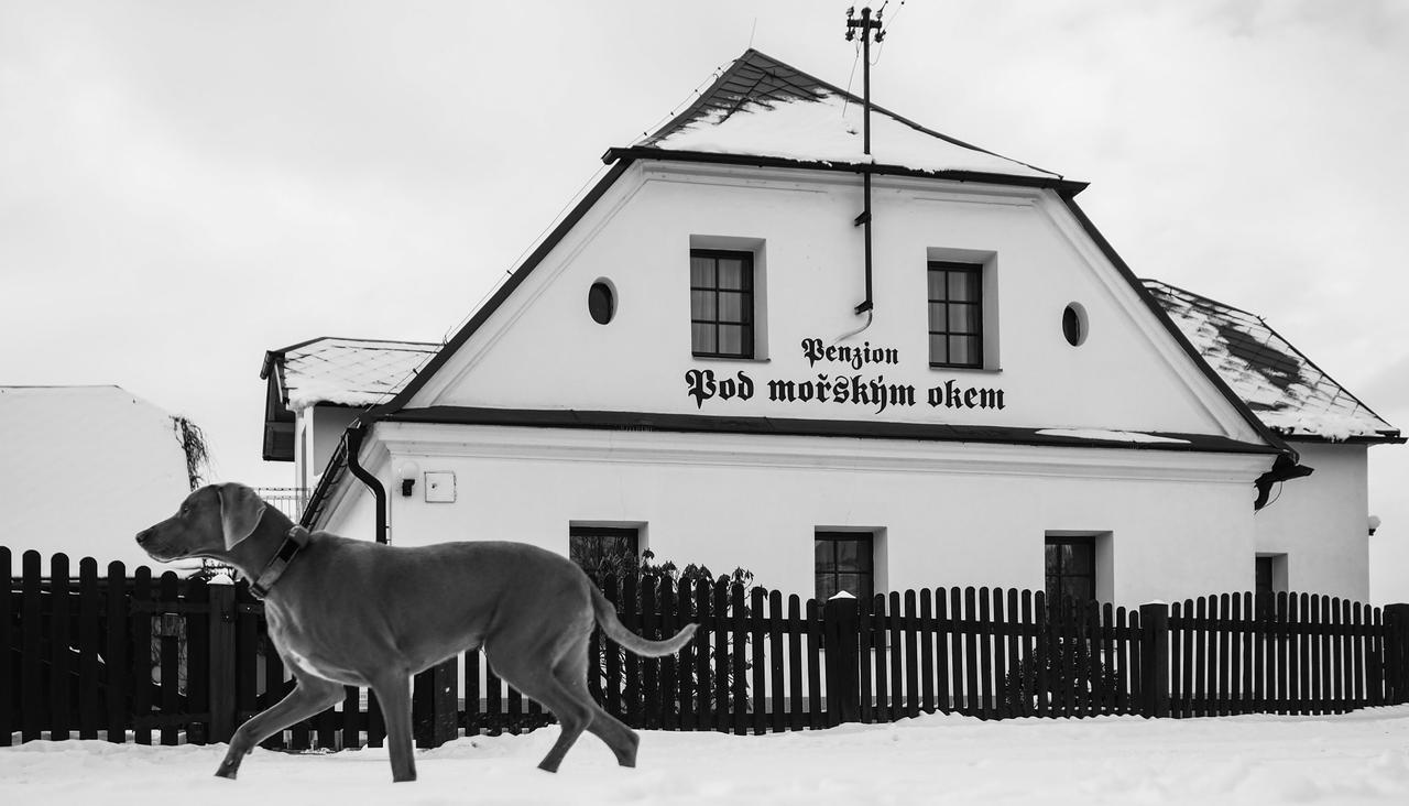 Pension Pod Morskym Okem Karlovice  Eksteriør bilde
